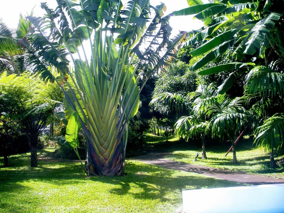 Villa Arbre Du Voyageur, 4 Etoiles Et 4 Clevacances Noël 외부 사진