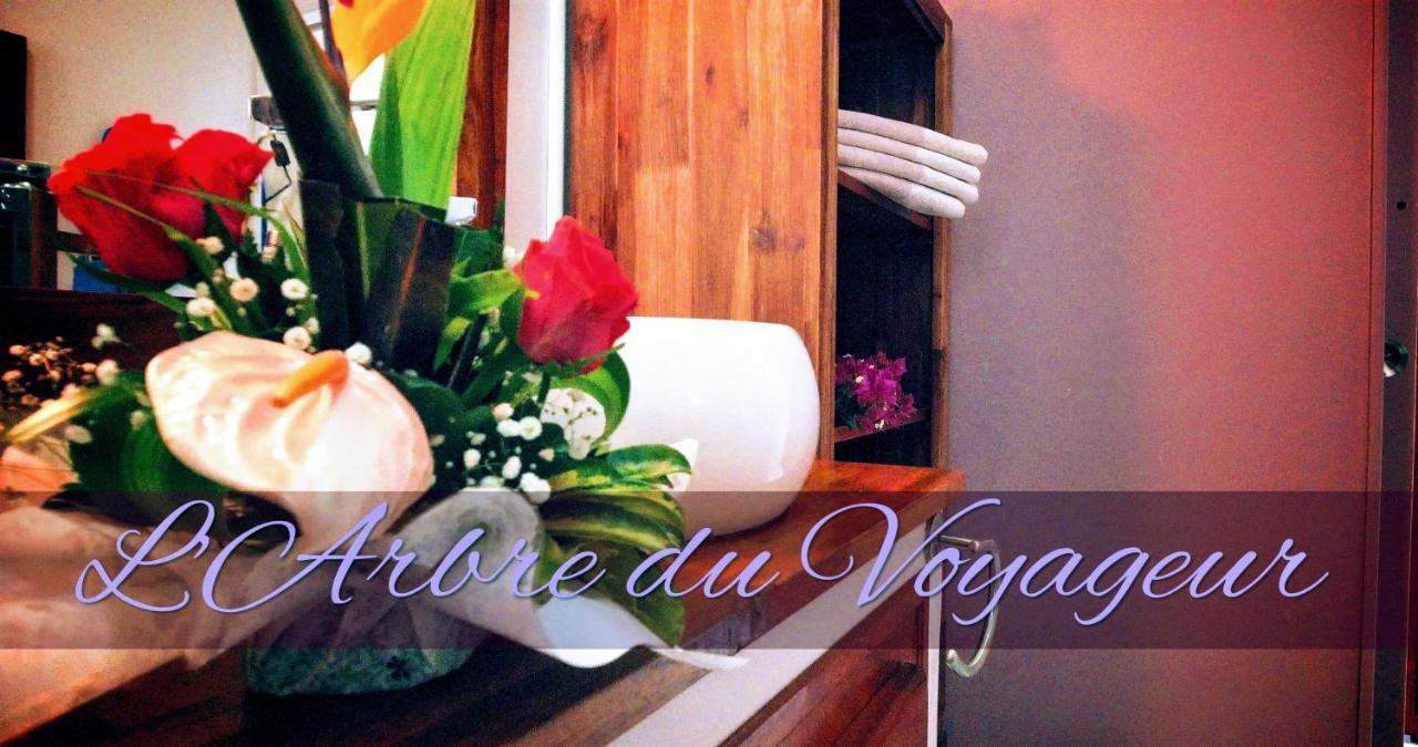 Villa Arbre Du Voyageur, 4 Etoiles Et 4 Clevacances Noël 외부 사진